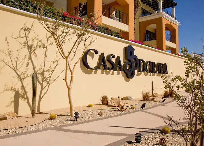 One Bedroom Suite- Club Casa Dorada At Medano