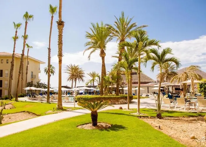 One Bedroom Suite- Club Casa Dorada At Medano